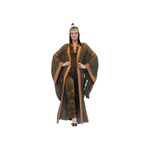 Orange Brown ladies Dress